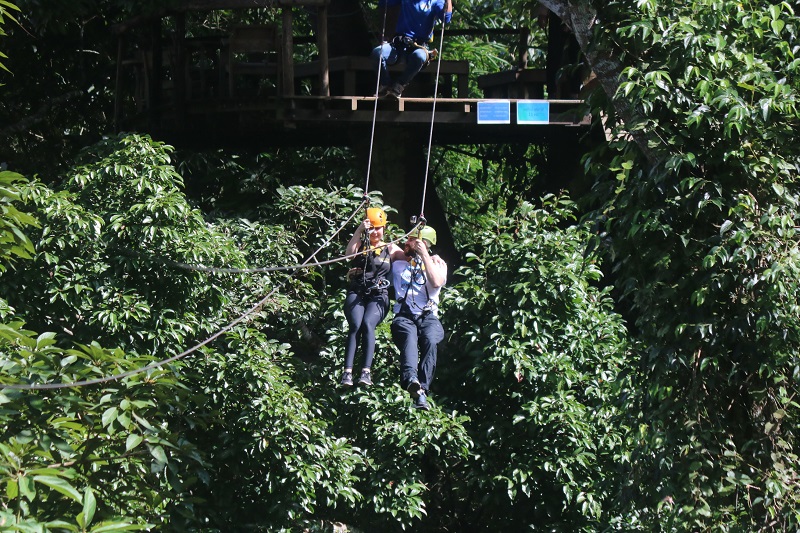 Flight of the Gibbon Chiang Mai