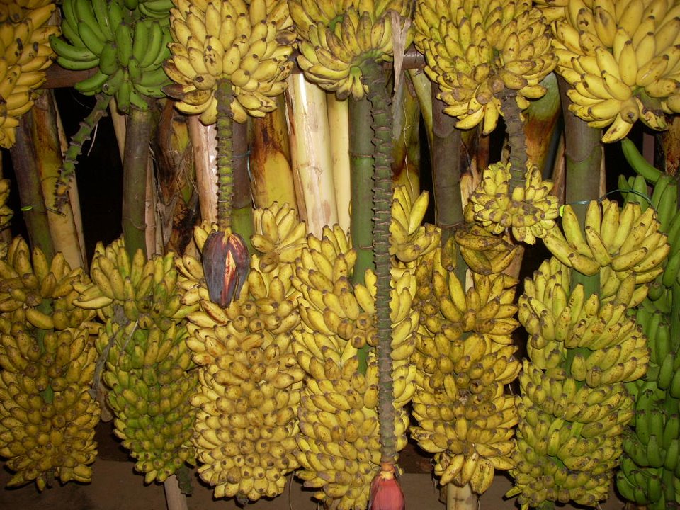 KANYAKUMARIA Must Visit Place Once in LIFETIME Kanyakumari All