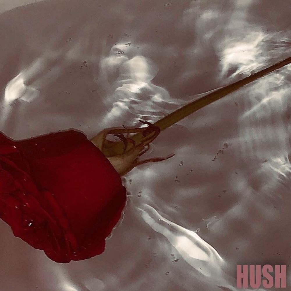 HUSH – 미친거같아 – Single