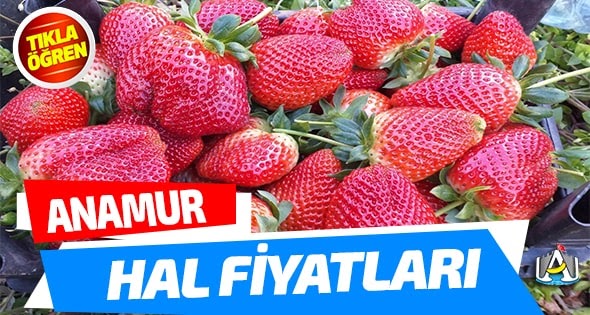 anamur hal mudurlugu fiyat listesi 8 nisan 2021 persembe