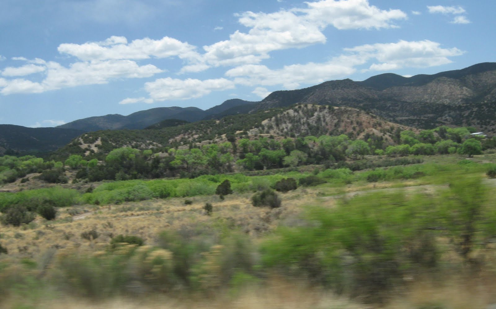 RoadhogUSABertoni Carlsbad, NM