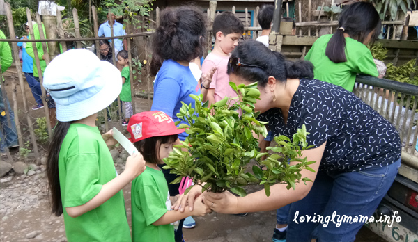 Isabela Fruit Trees Project