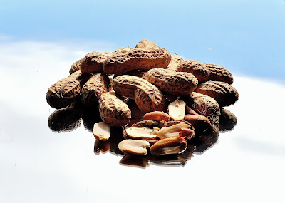 Erdnuss (Arachis hypogaea) Erdnüsse