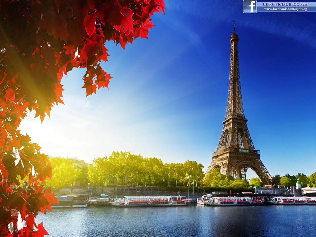 eiffel tower the most