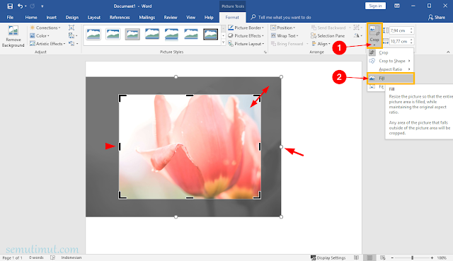 Cara Memotong Gambar di Word (Crop to Shape) Lengkap ...