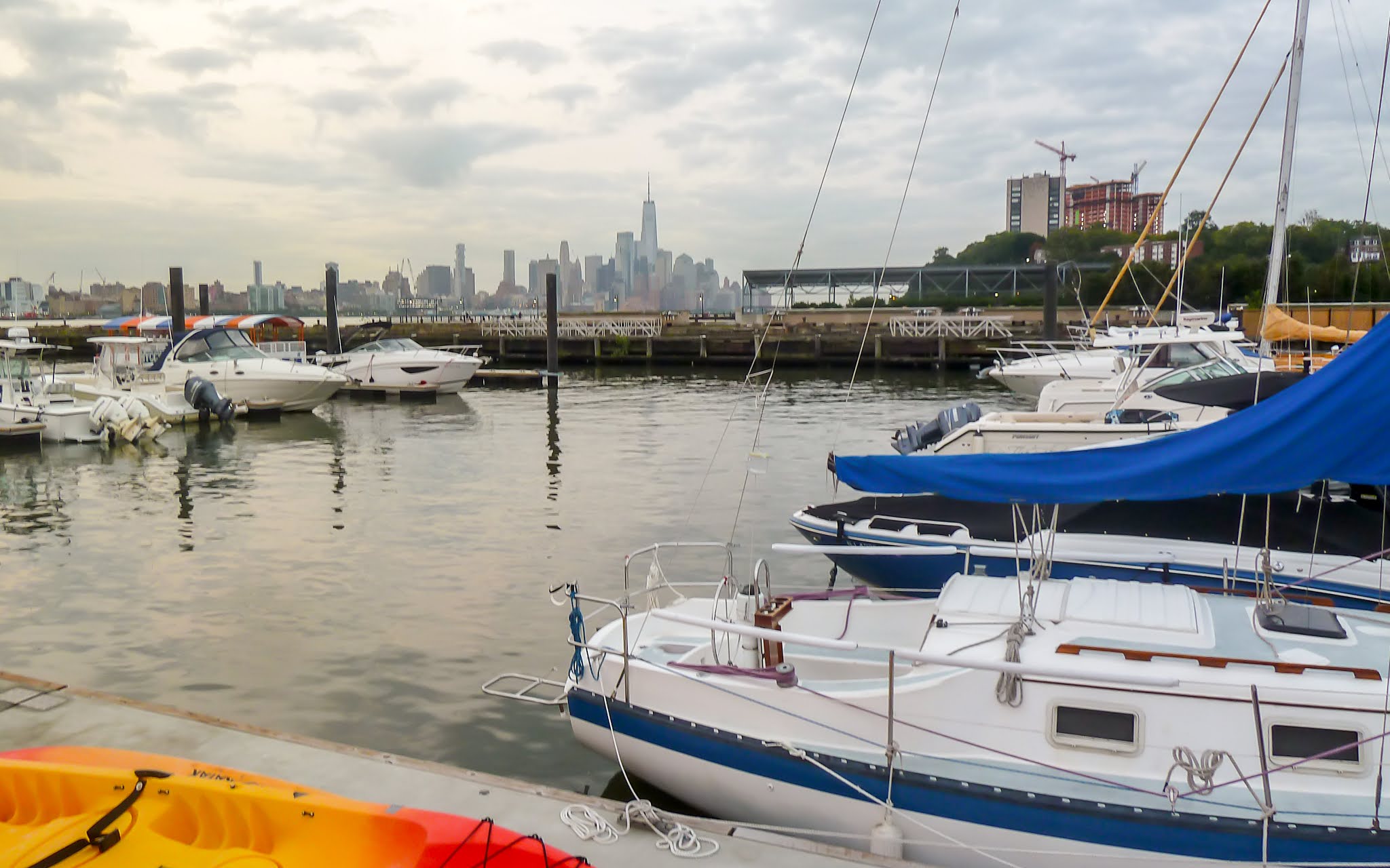 NEW SAVANNA Safe harbor [Hoboken]