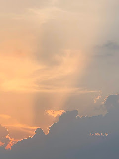 Divine