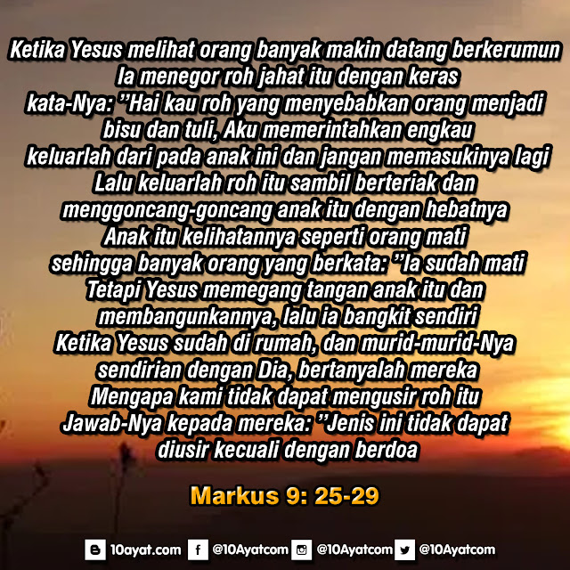 Markus%2B9%2B %2B25 29