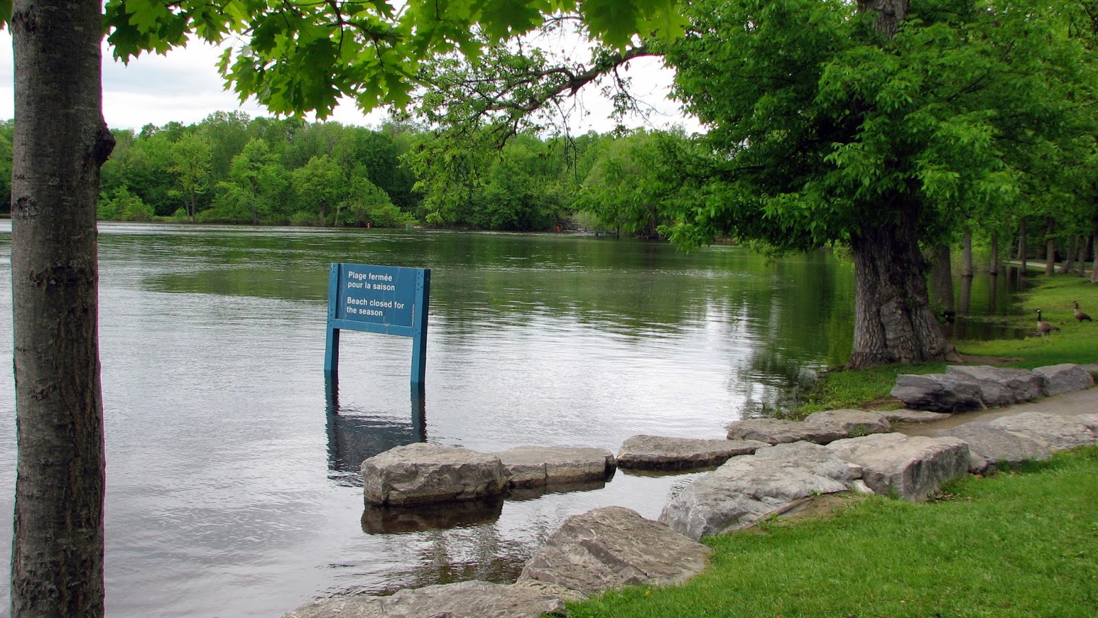 Zigzag De Photos Inondation