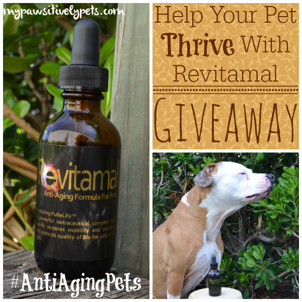 Help your pet thrive with Revitamal - giveaway #AntiAgingPets