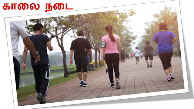 ஆரோக்கிய வாழ்விற்கு சில யோசனைகள் / காலை நடை / pengalthalam