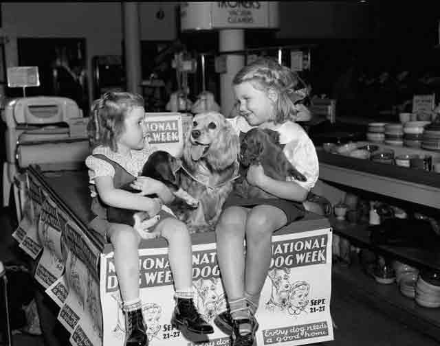 National Dog Week 24 September 1941 worldwartwo.filminspector.com