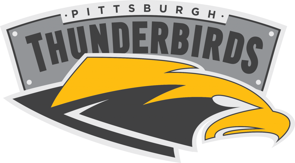 Sludge Output: Review: Pittsburgh Thunderbirds (AUDL)