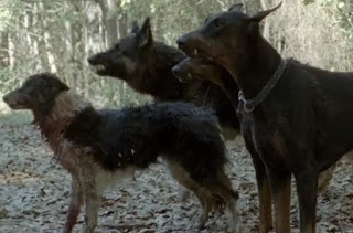 The Walking Dead Dogs
