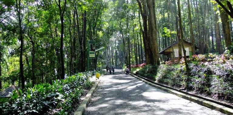 Tempat Wisata di Bandung dan Harga Tiket Masuknya