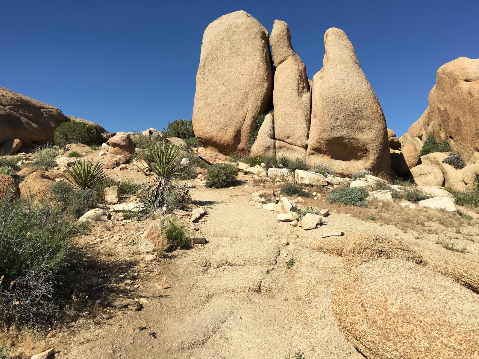Running Routes Skull Rock Trail, Joshua Tree Running Route