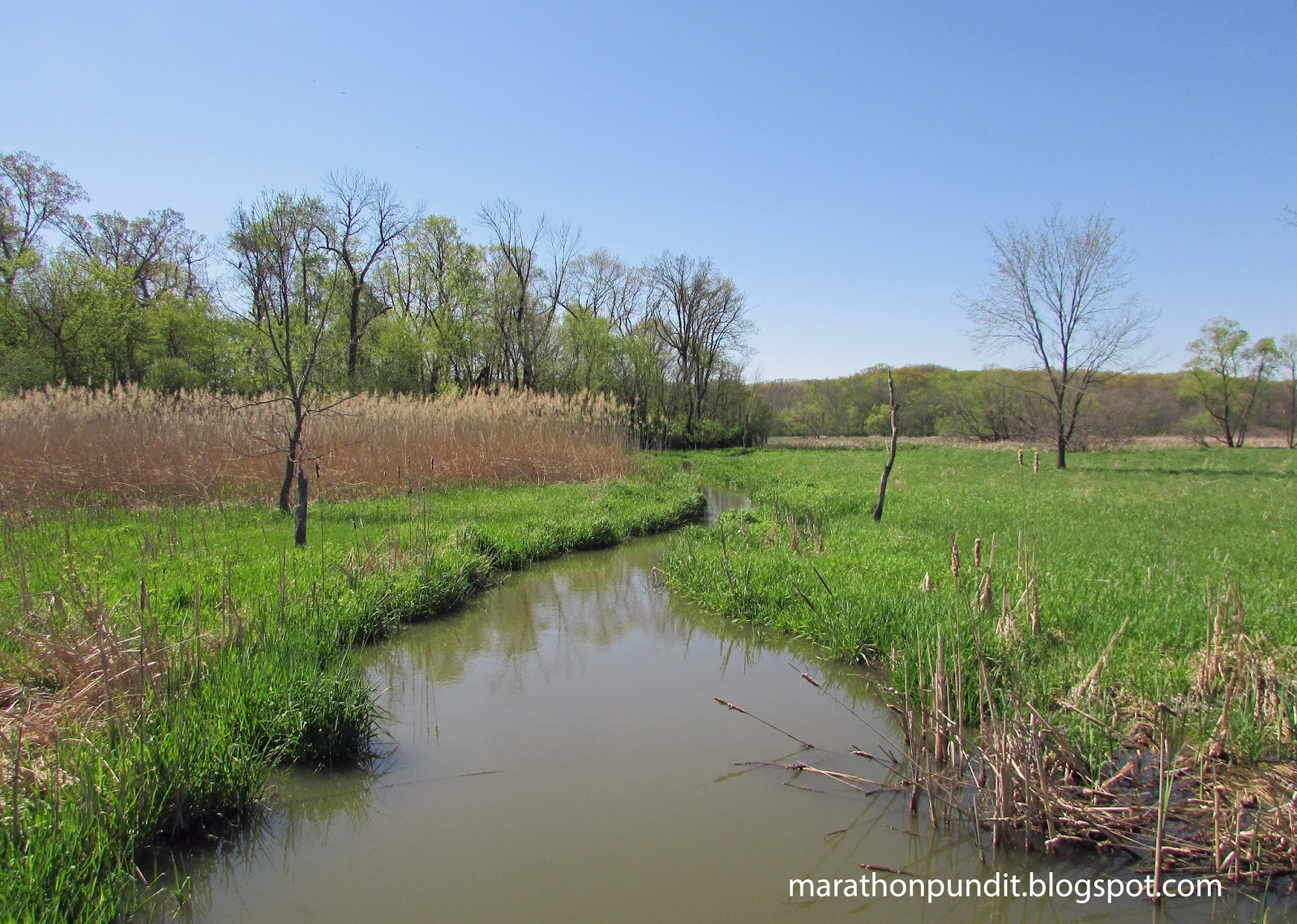 Marathon Pundit Messenger Woods in Homer Glen, Illinois