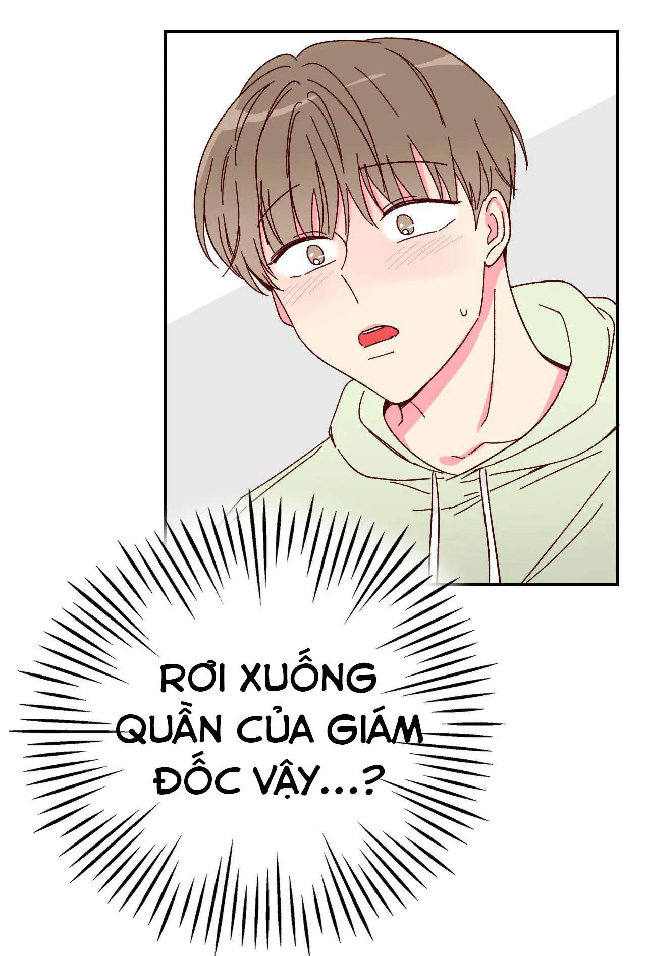 Món Tráng Miệng Của Sếp Tổng Chapter 3 - Trang 12