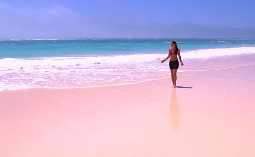 Pantai Dan Danau Berwarna Pink Yang Buat Penasaran Wisatawan Di Dunia Inphedia Id Pantai Dan Danau Berwarna Pink Yang Buat Penasaran Wisatawan Di Dunia Inphedia Id