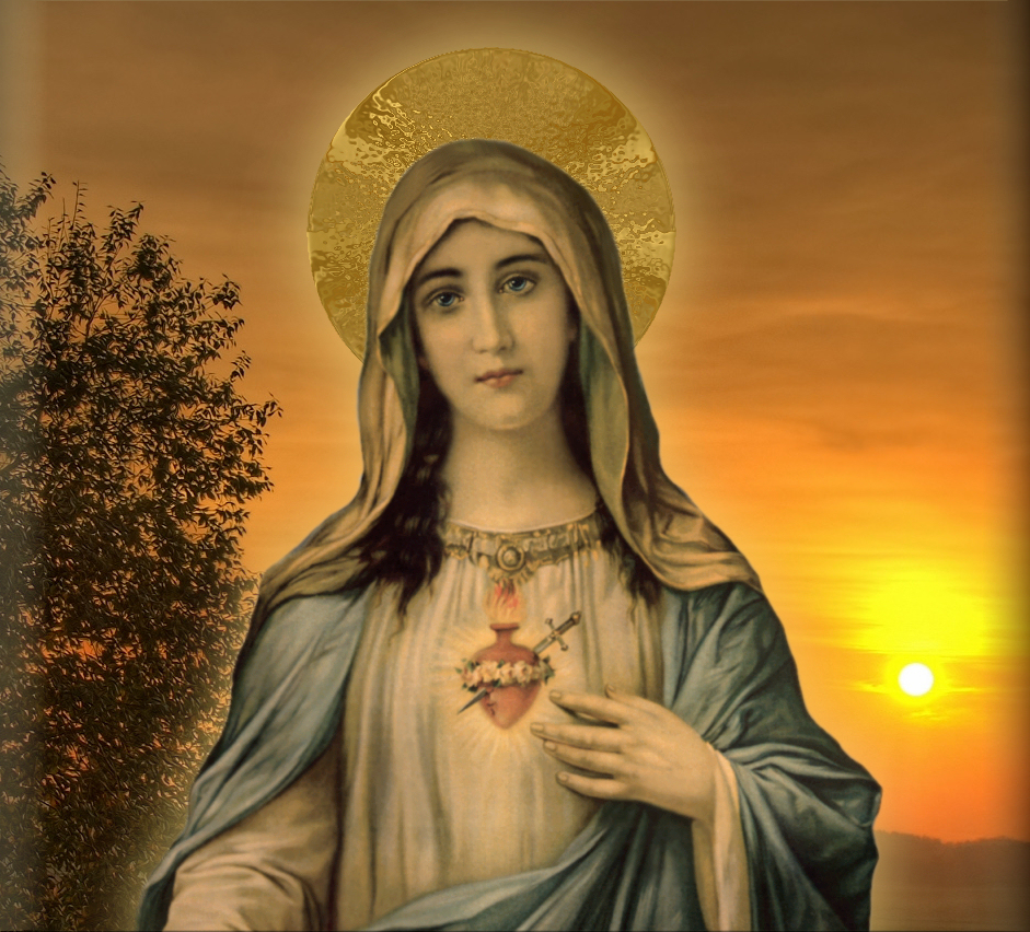 Conscientious Catholic: IMMACULATE HEARAT OF MARY--Part II