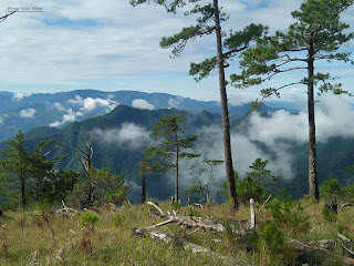 Pinoy Solo Hiker - Mt Namandiraan Pinoy Solo Hiker - Mt Namandiraan