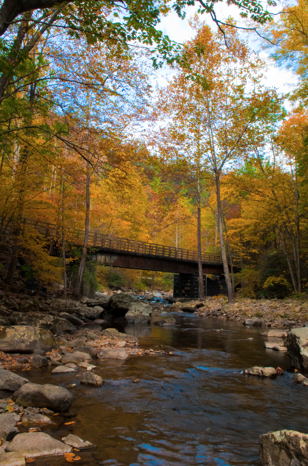 MARIETTE'S BACK TO BASICS Our Bike Ride from Whitetop to Damascus