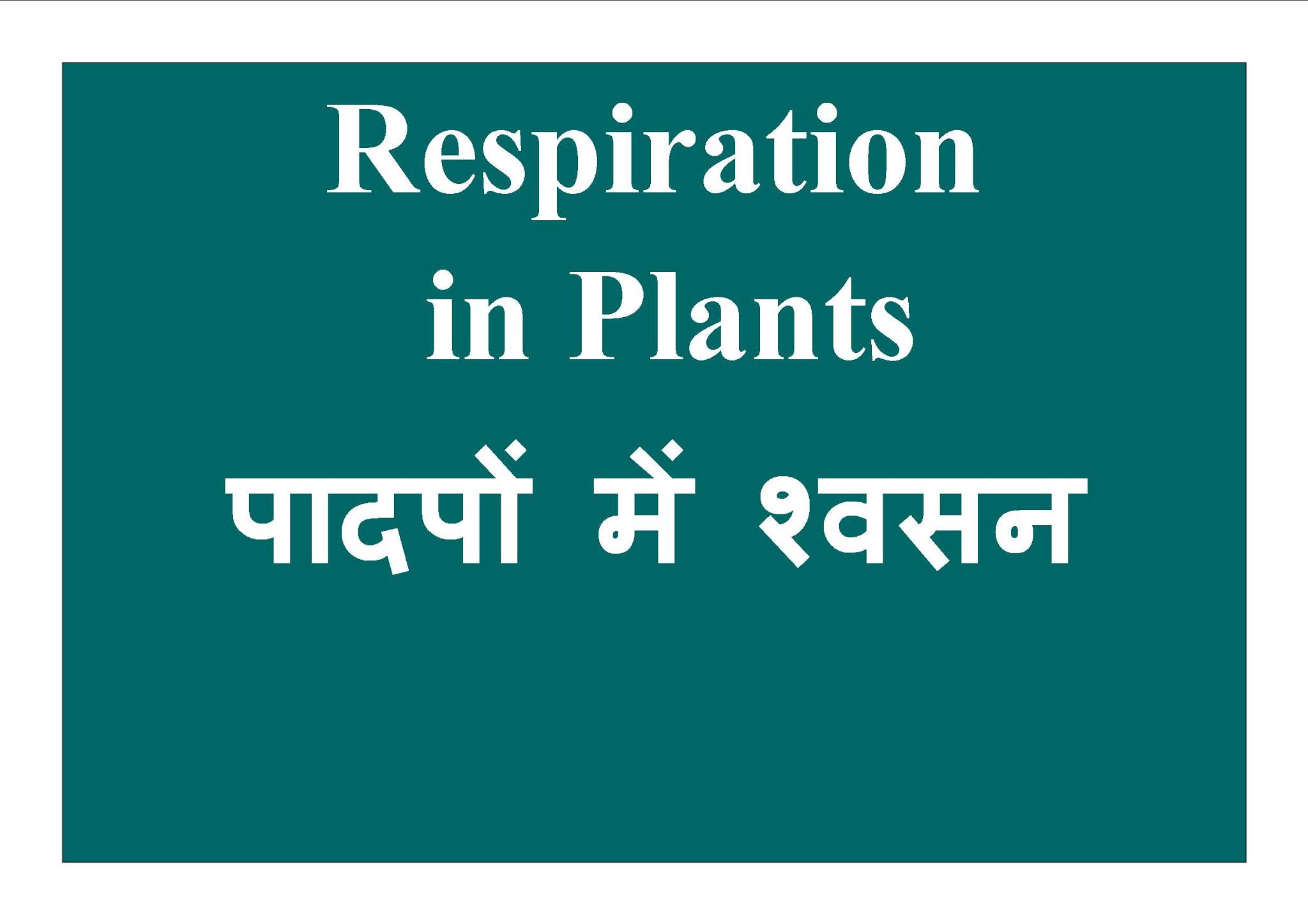 Biology NEET Respiration in Plants Question Solved in Hindi