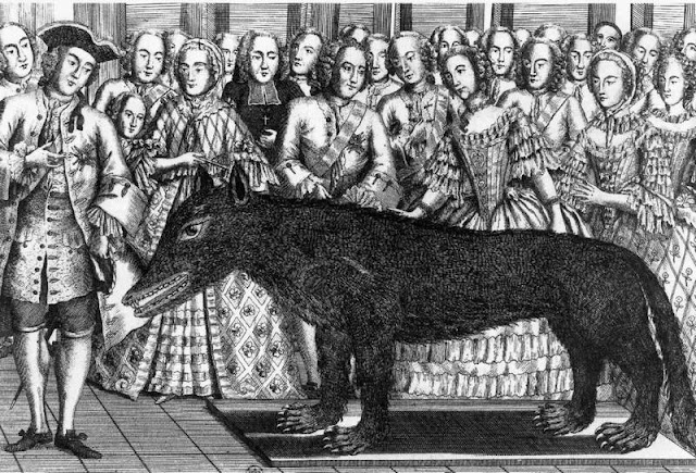Чучело Волка из Шазе:  в длину волк достигал 170 см,  высота в холке – 80 см., вес – 60 кг.  Это чучело сгорело при пожаре в 1819 г.