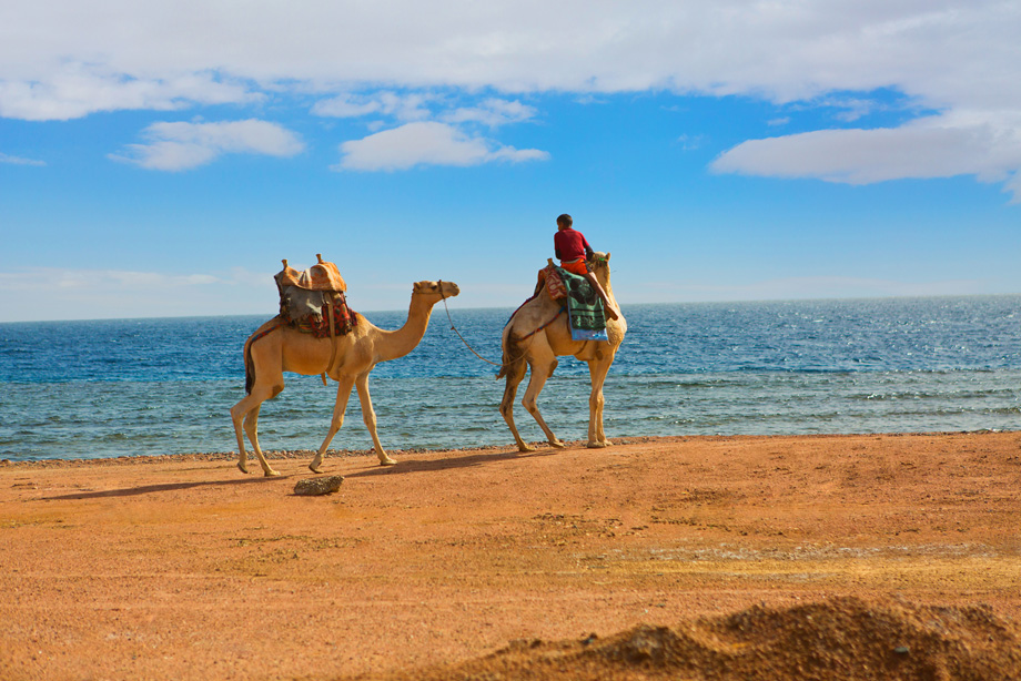 Dahab Р•РіРёРїРµС‚