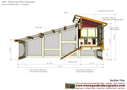 chicken build coop door plans