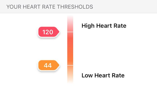 Fitbit Health And Fitness Scores And Stats Explained