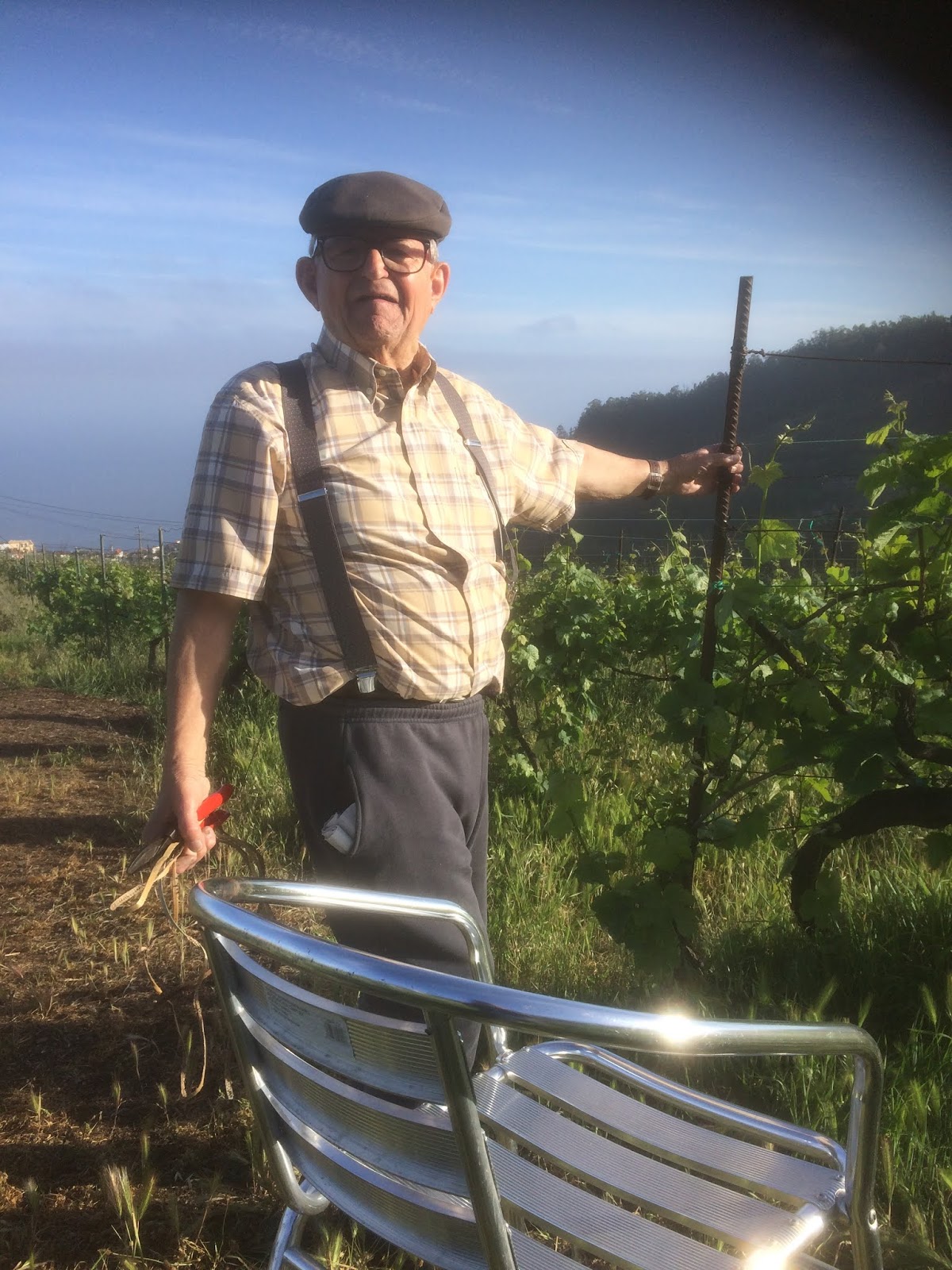 Senso & Consenso DE SERVOS DA GLEBA A SENHORES DO SEU REINO UMA LENDA