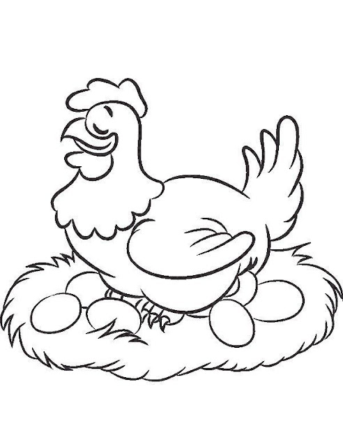 15+ Sketsa Gambar Ayam Yang Mudah - ServerGambar01
