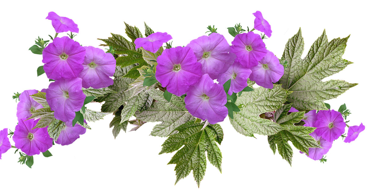 Romance Gems LOVE AND FLOWERS IN BLOOM