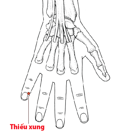 Vị trí huyệt thiếu xung
