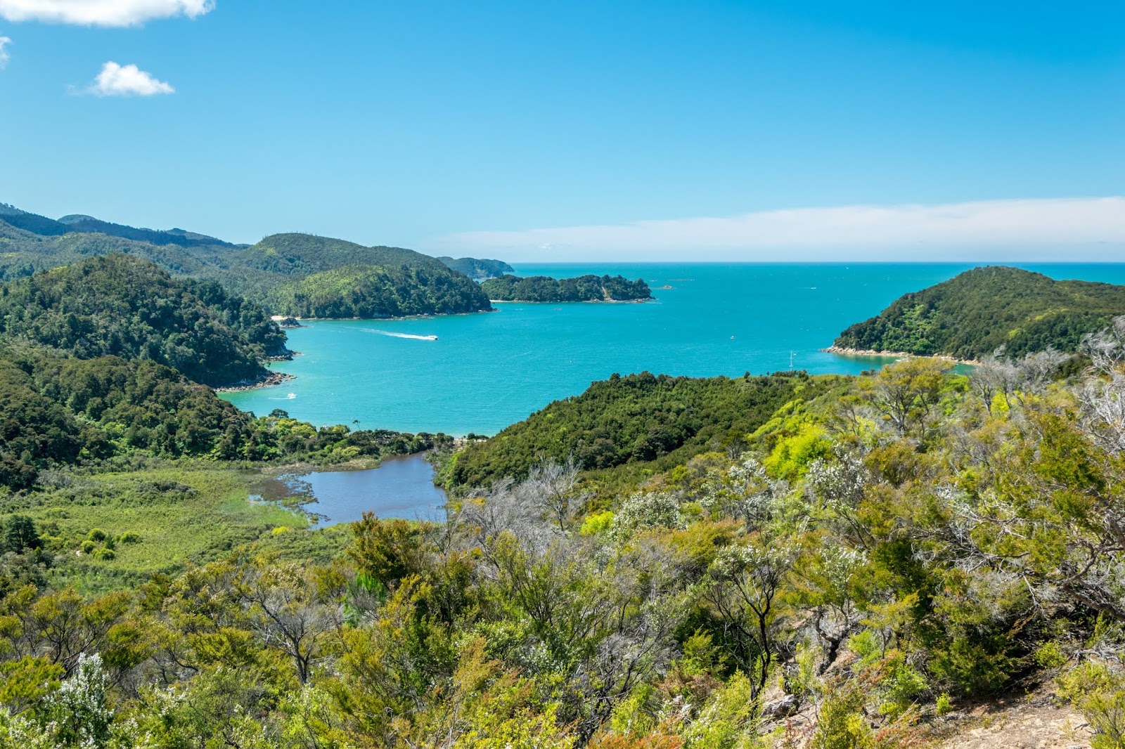 The Top 15 Things to Do in New Zealand