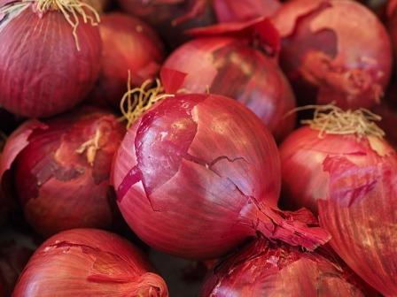 Bawang merah di buat jus bawang