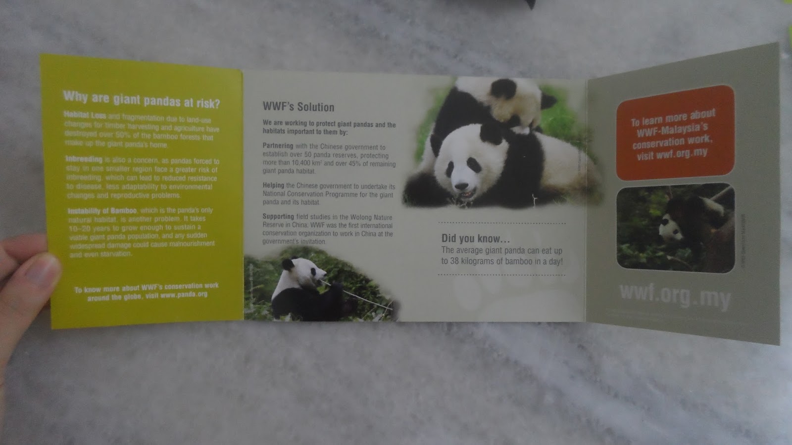 Interesting Corner of Me : WWF Malaysia: Panda Adoption Pack