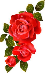 Gambar Bunga Mawar Fourwedhe