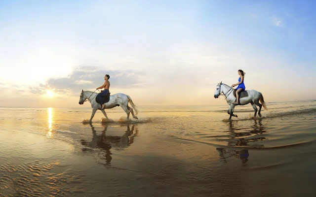 Paardrijden op het strand door het water van de zee