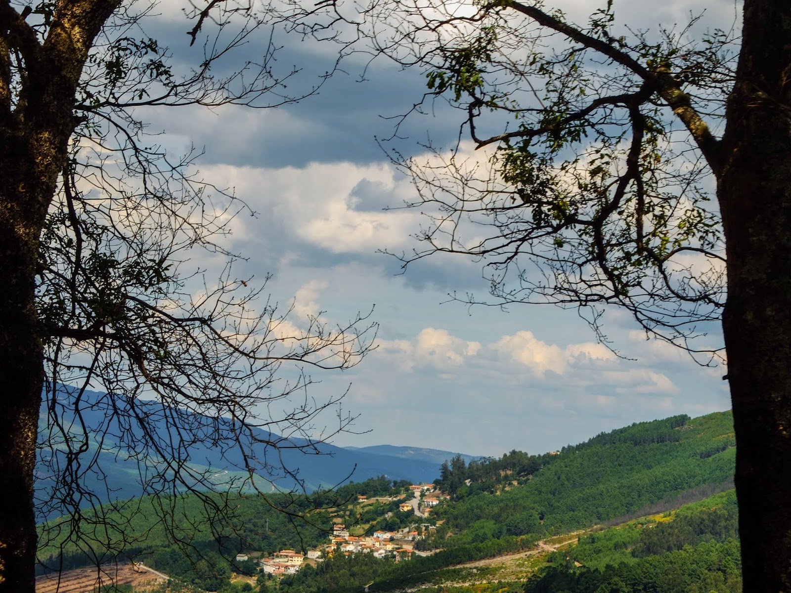 A mountain landscape pictured between two trees in the North of Portugal.