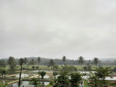 Off Road Dewa Bejo Bejiharjo Gunungkidul