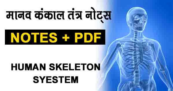 मानव कंकाल तंत्र | Human Skeleton System In Hindi PDF - KnowledgeAdda24hour