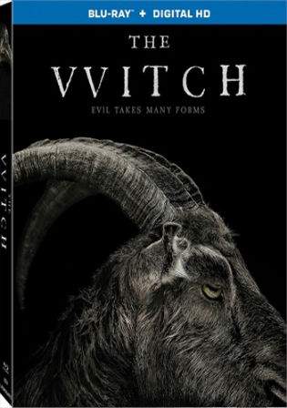 The Witch 2016 BluRay 300Mb Hindi Dual Audio 480p