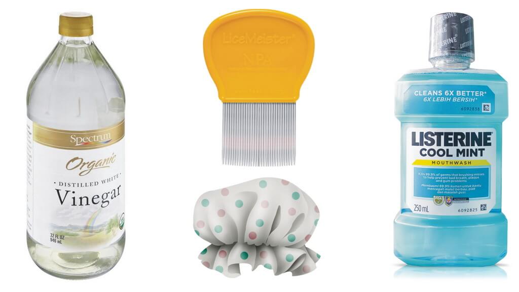VB How to Get Rid of Lice with Vinegar and Listerine StepbyStep