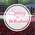 Spring in Netherland