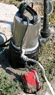 Filthy sump pump Filthy sump pump