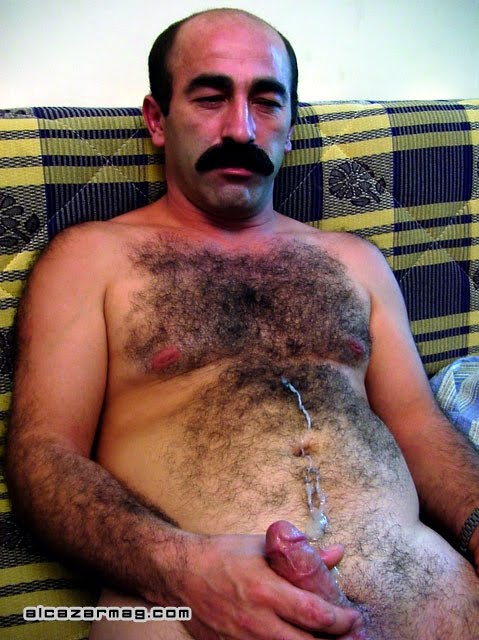Turkish Gay Bear