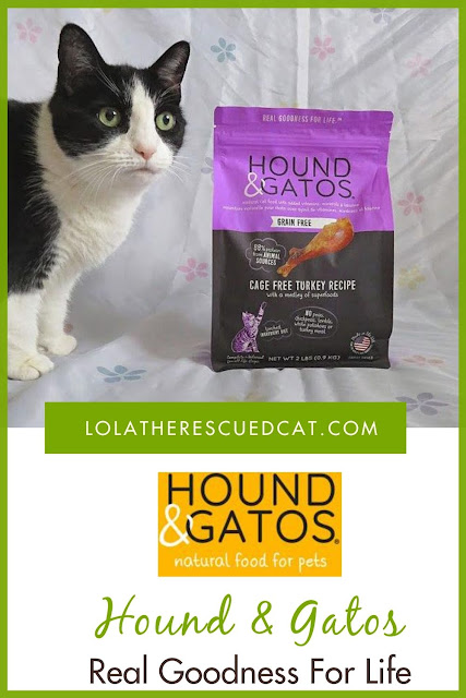 Hounds & Gatos pet food