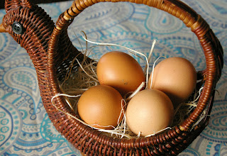 potrawy z jajek, przepisy z jajek